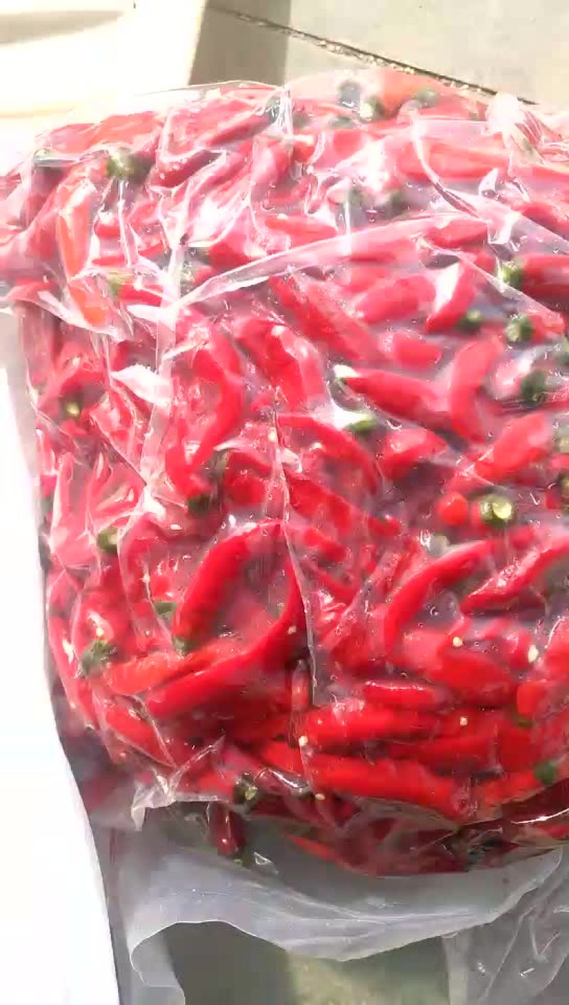 泡辣椒