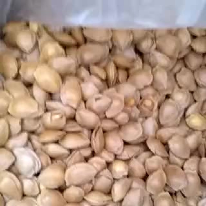 山杏仁一级