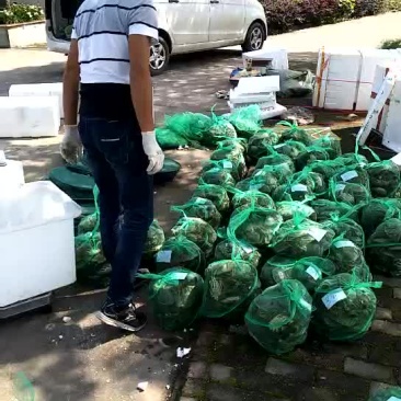 河蟹螃蟹实时市场价格