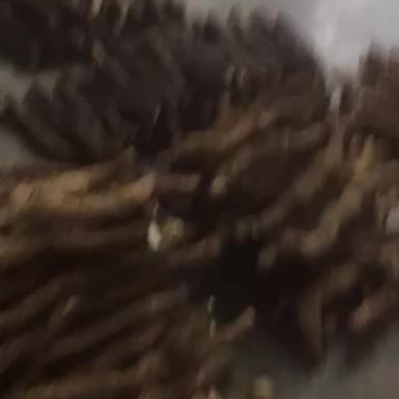 山药