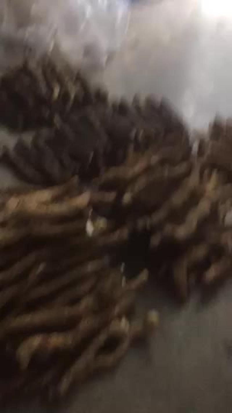 山药