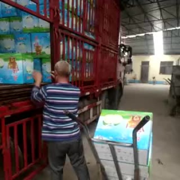 皇冠梨400~450g纸袋