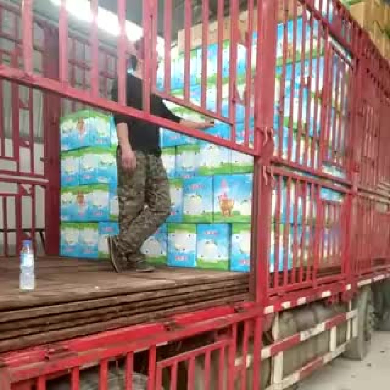 皇冠梨400~450g纸袋