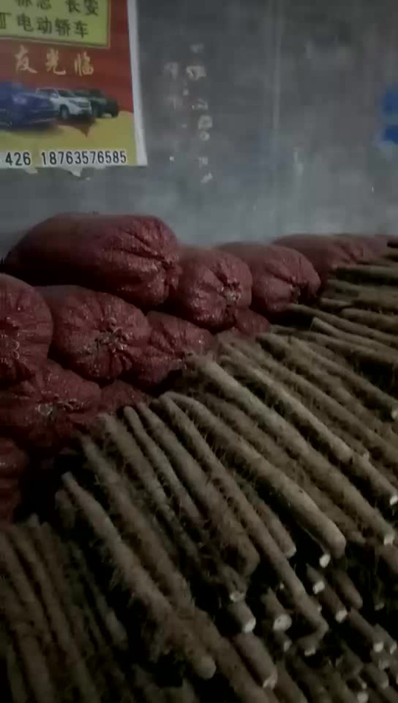 白玉山药3~4厘米40~50厘米一级通货