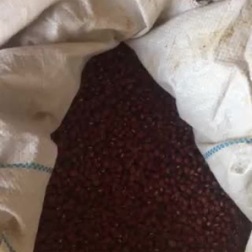 红豆袋装