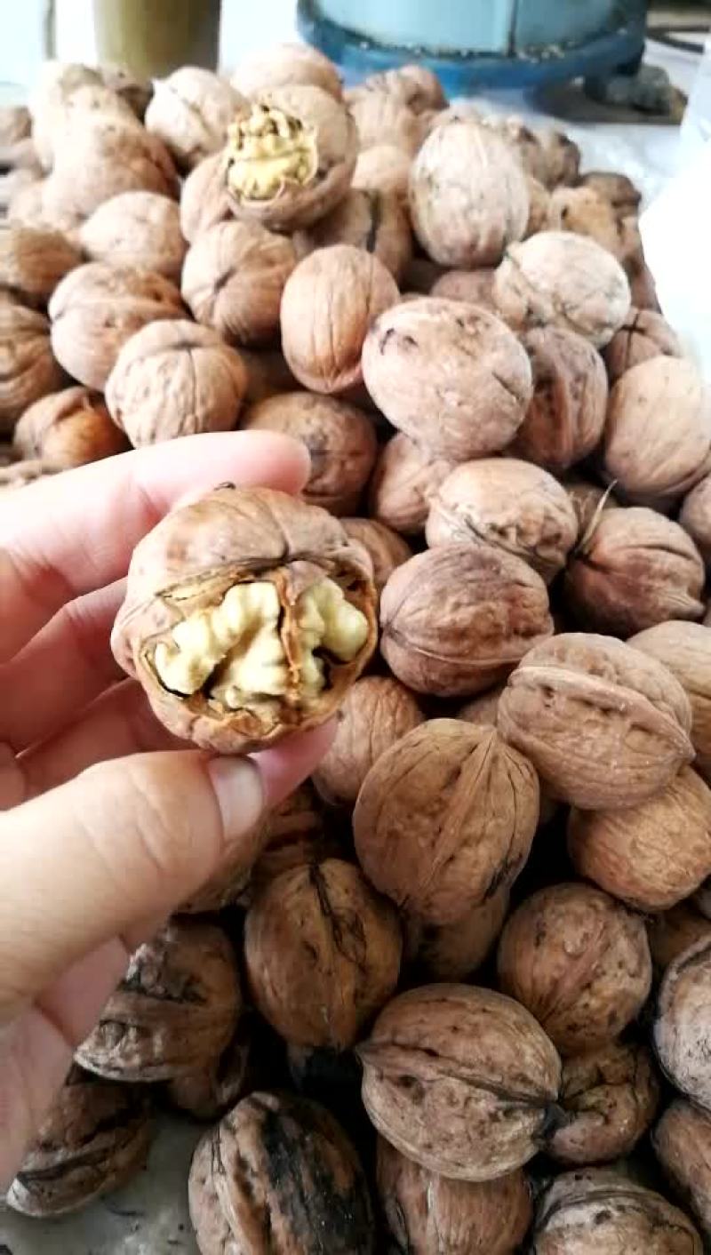 纸皮核桃30mm以上去皮干