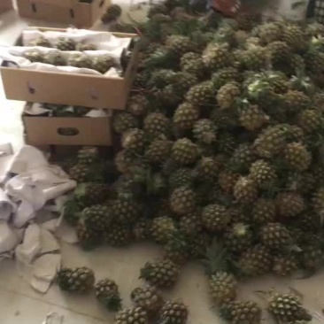 泰国小菠萝十斤装包邮