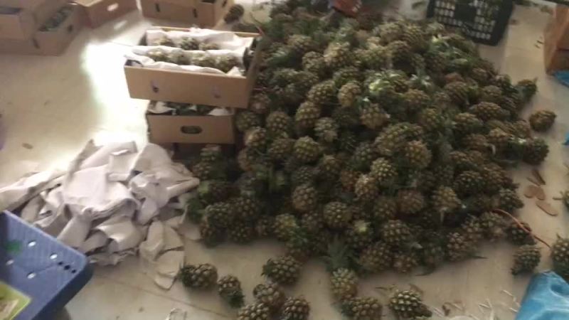 泰国小菠萝十斤装包邮