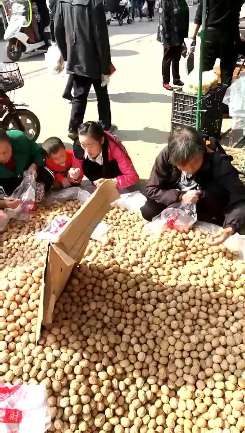 薄皮核桃去皮25~35mm干