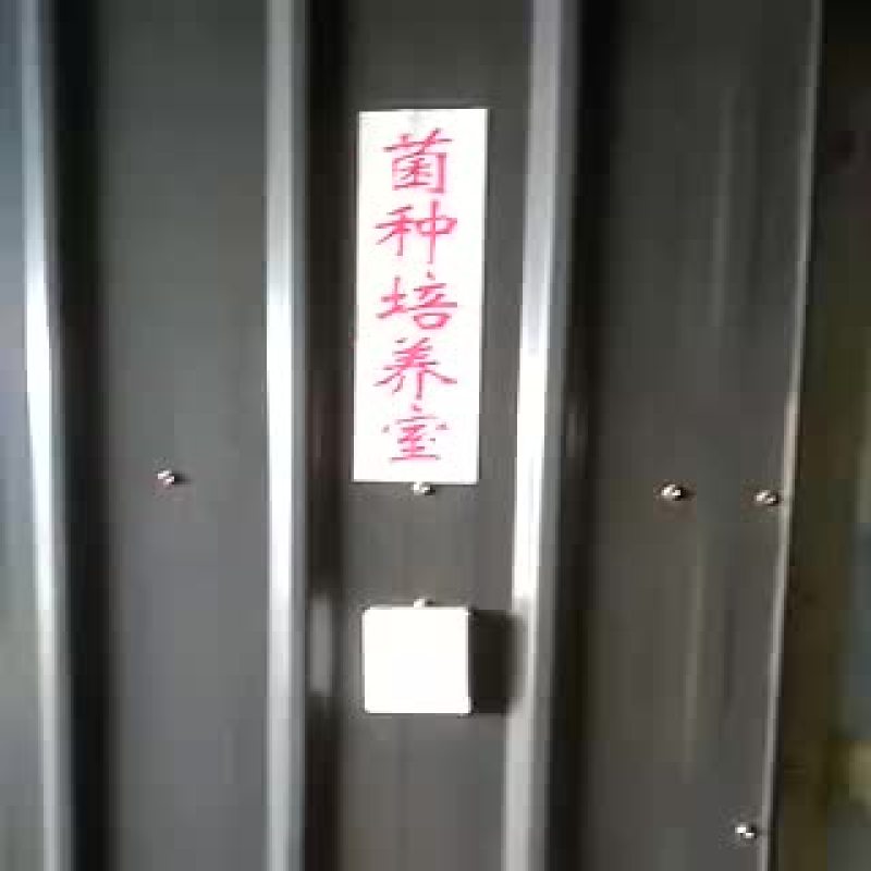 木耳菌种原种
