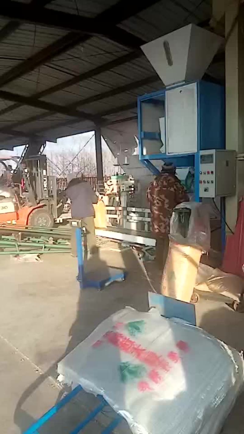 黄黄豆优质