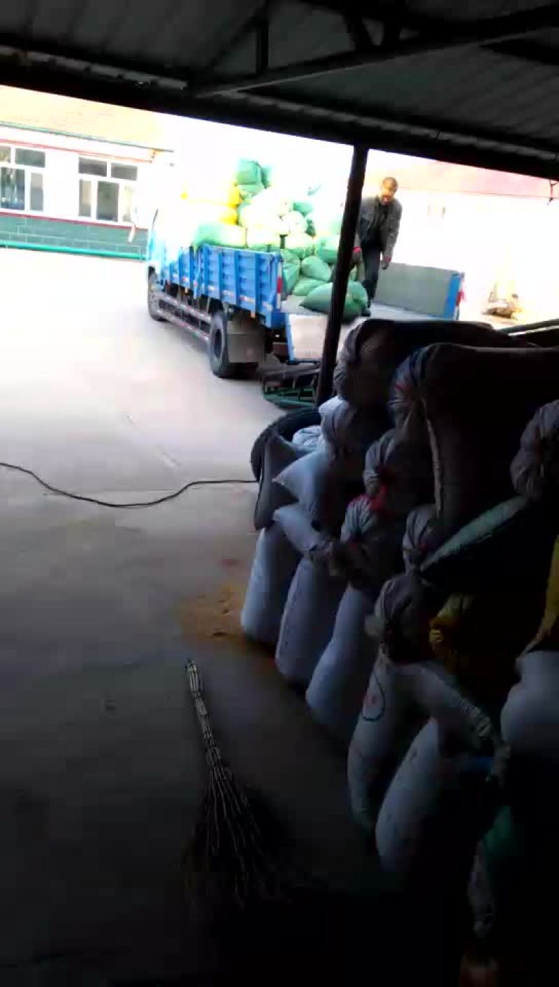 神谷，吨谷，金苗，红谷子，需要加关注
