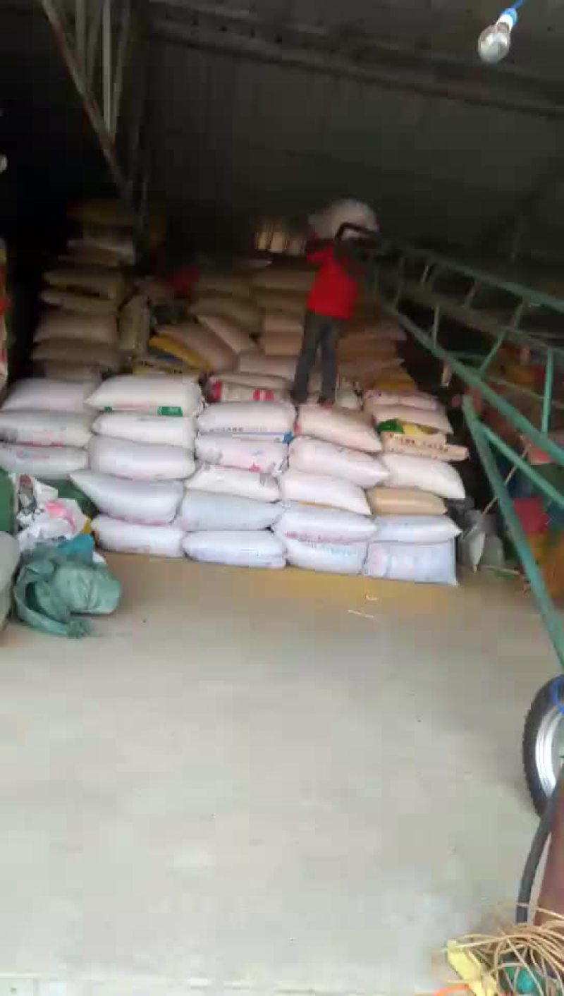 神谷，吨谷，金苗，红谷子，需要加关注