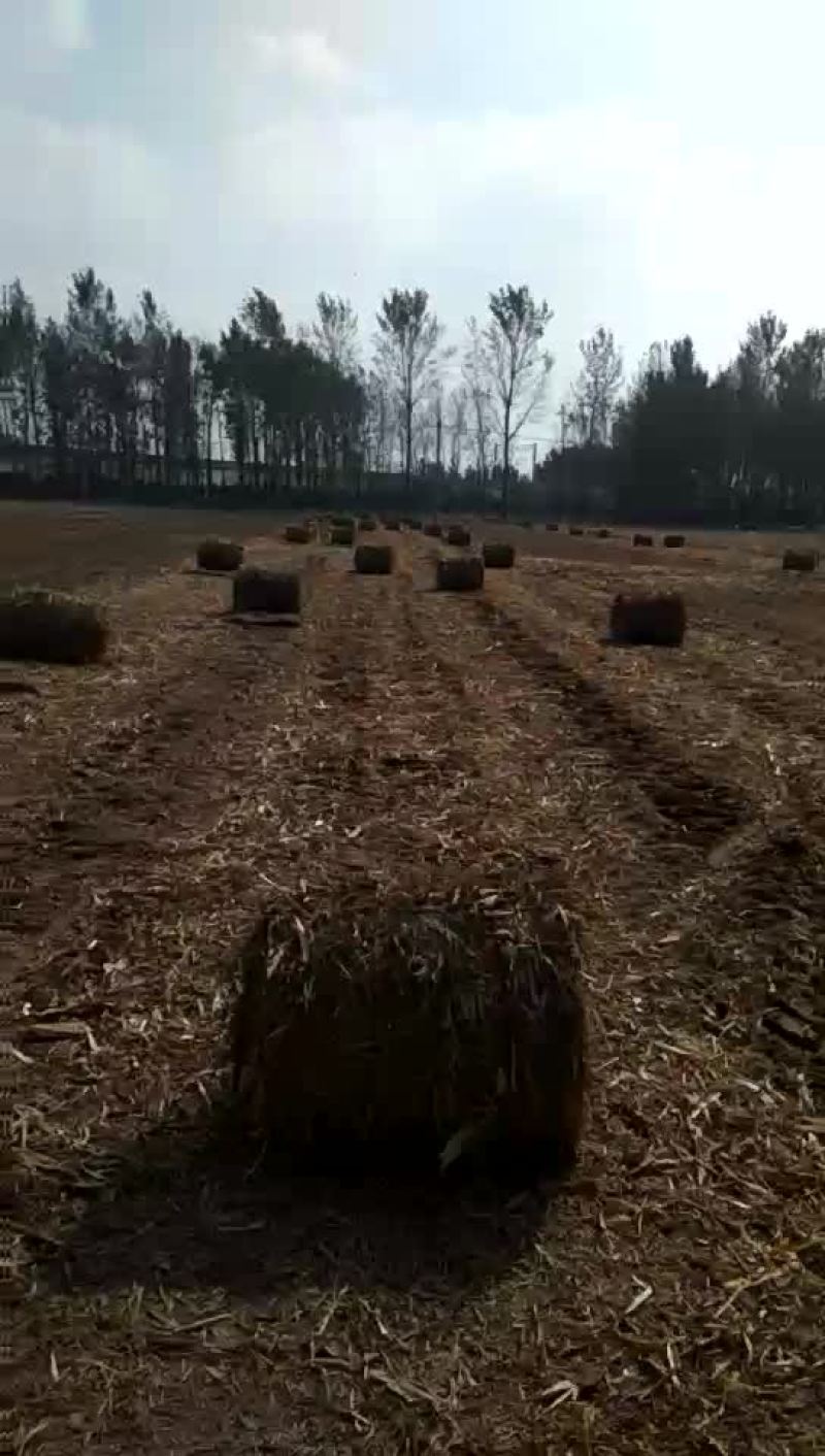 茎秆收集处理机械