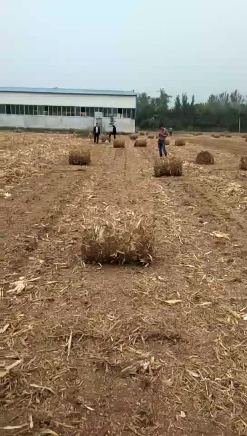 茎秆收集处理机械