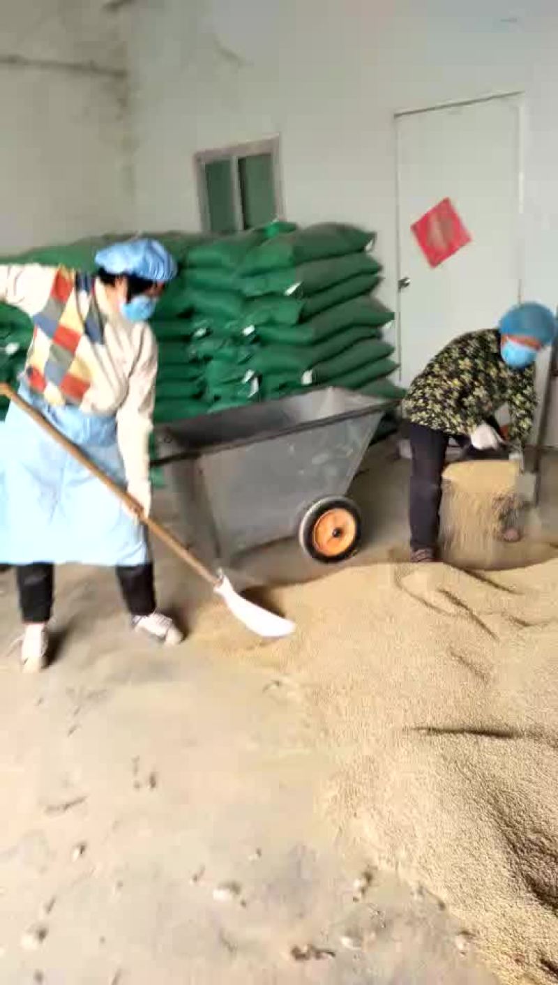 鸡绿色环保