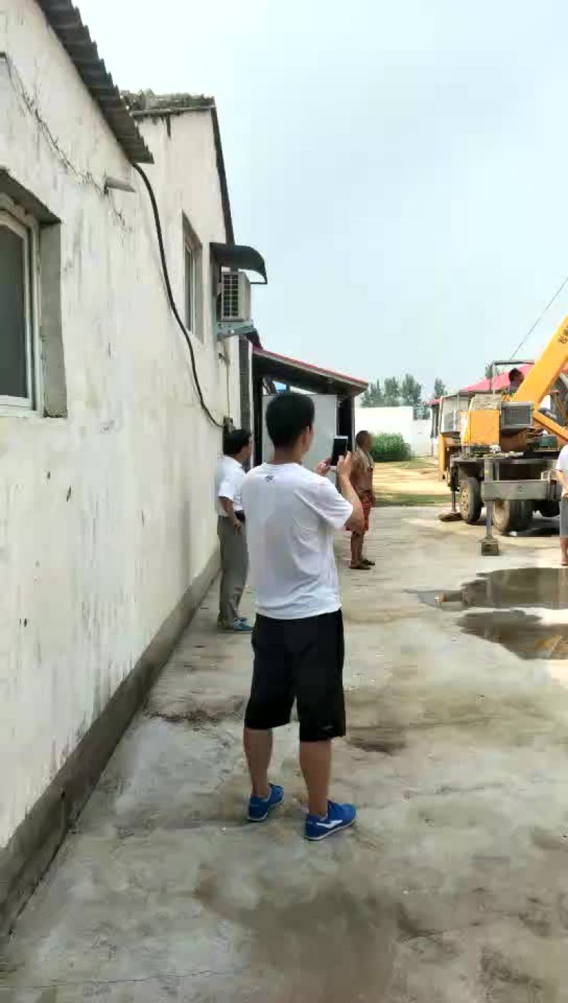 鸡绿色环保