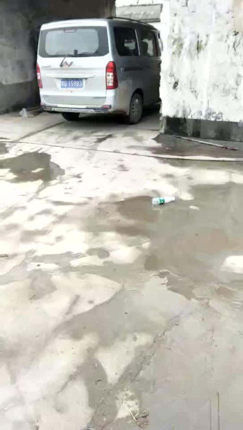 鸡绿色环保