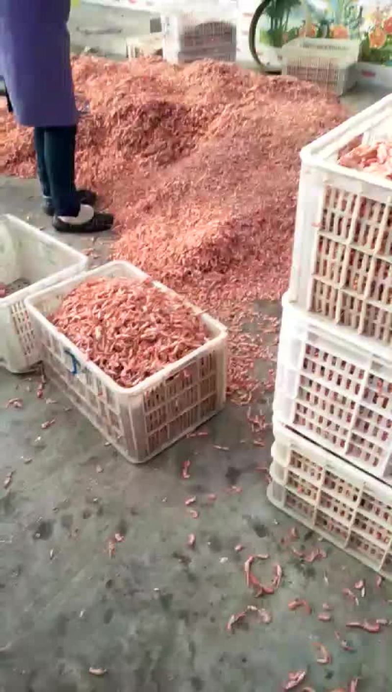 皮皮虾冰鲜虾