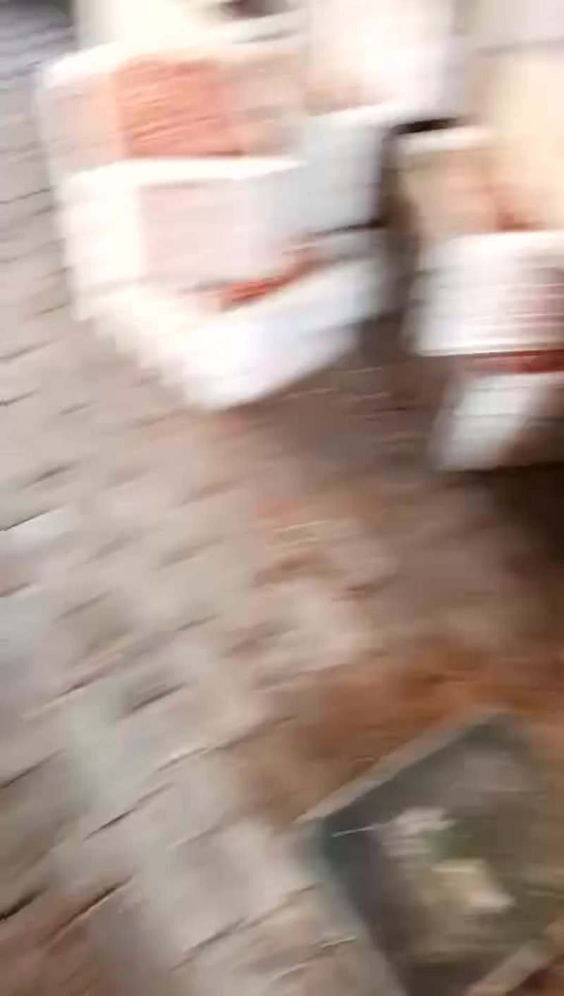 皮皮虾冰鲜虾