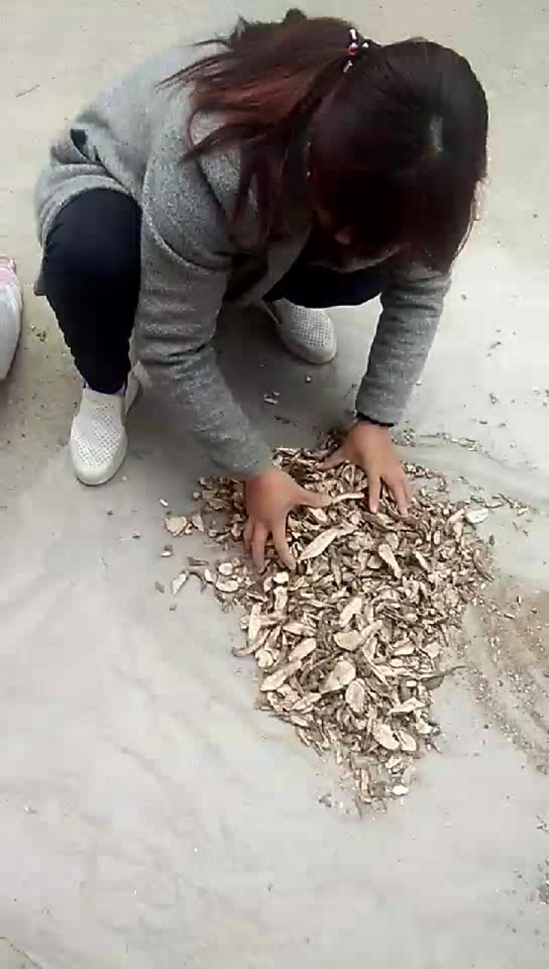 白蔹