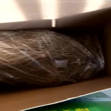 红薯粉丝包装
