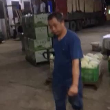 菜花散花3斤以上米黄