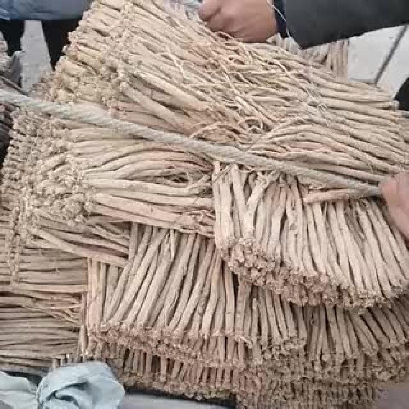 白条党参干货大条