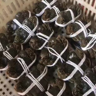 量大价优，各种规格应有尽有