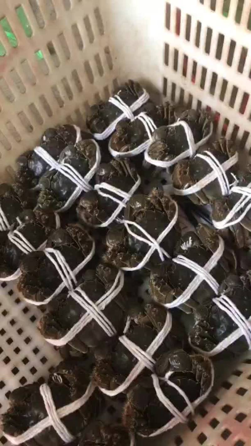 量大价优，各种规格应有尽有