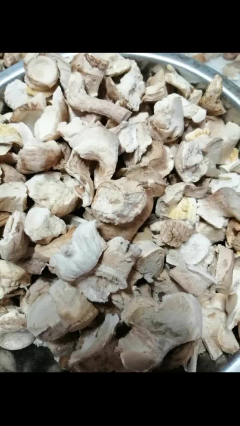 精选香菇脚