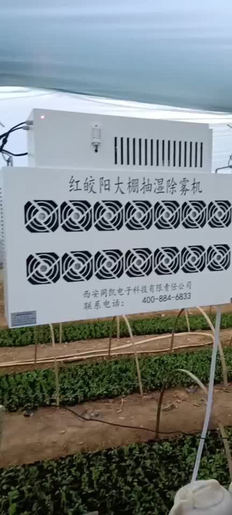 大棚除湿器大棚除湿设备樱桃大棚除湿器蔬菜大棚蔬菜除湿器