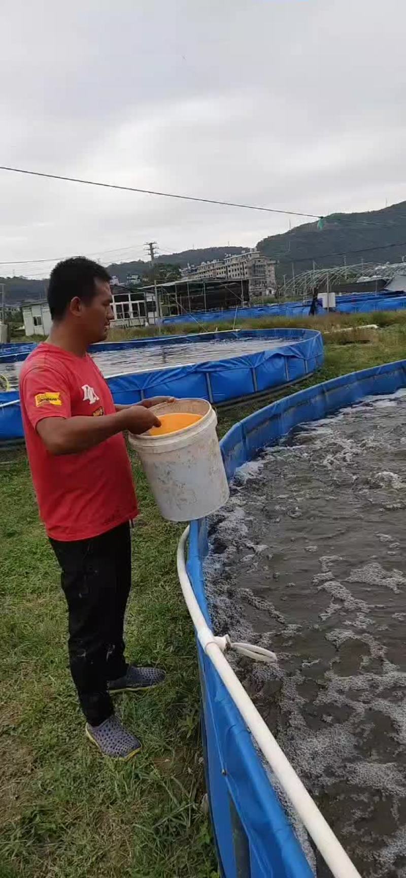 厂家货源！镀锌板养殖圆桶电话定制高密度养殖桶水产