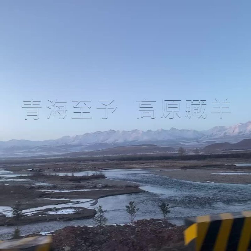 羊后腿藏羊羊肉新鲜现杀不添加不注水羊后腿青海羊肉