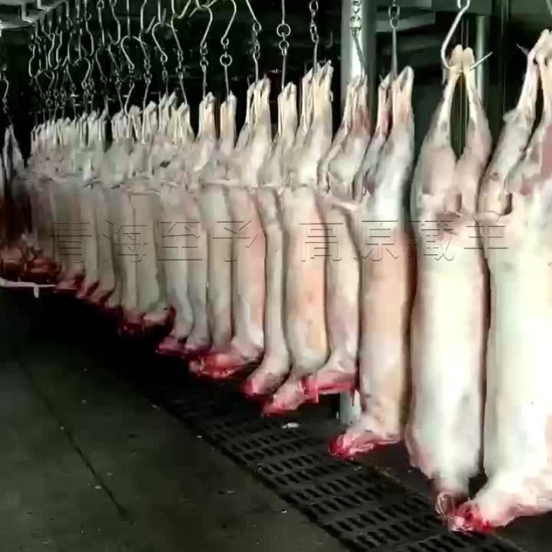 羊肉粒藏羊羊肉新鲜现杀不添加不注水羊肉粒青海羊肉