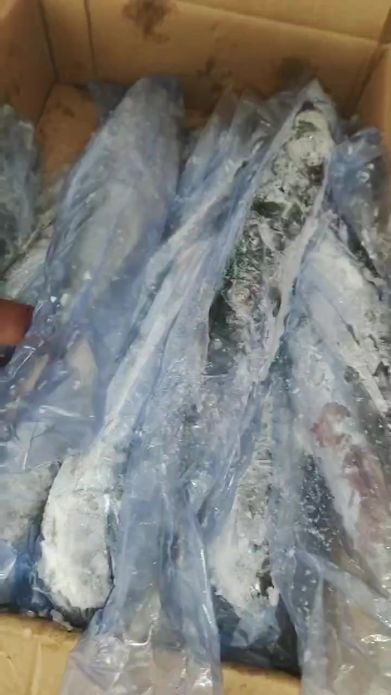 4/6鲅鱼工厂直营