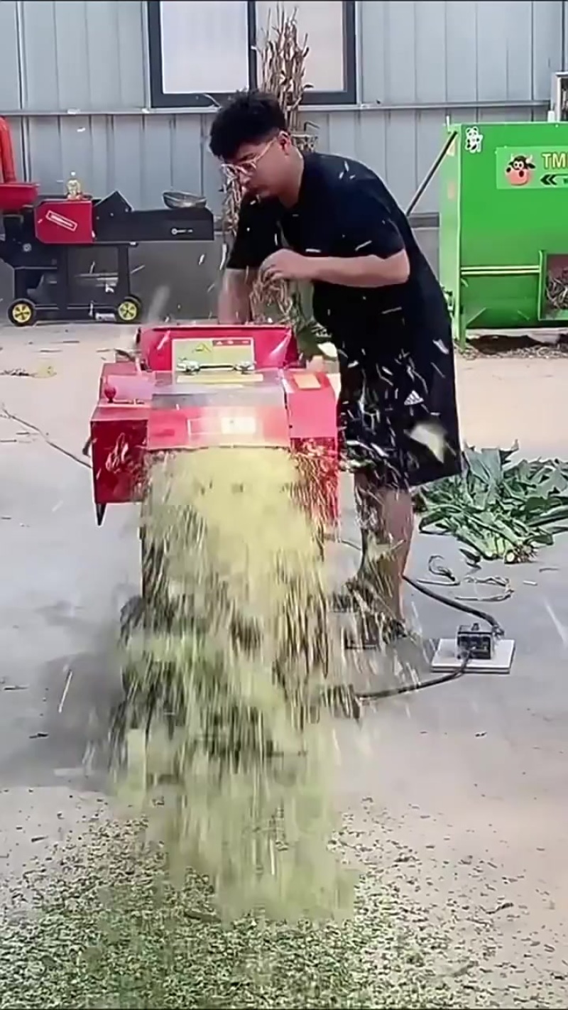 小型猪草蔬菜铡草揉丝一体机