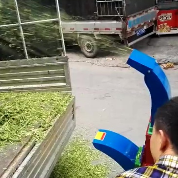 苜蓿草揉丝机畜牧养殖铡草机