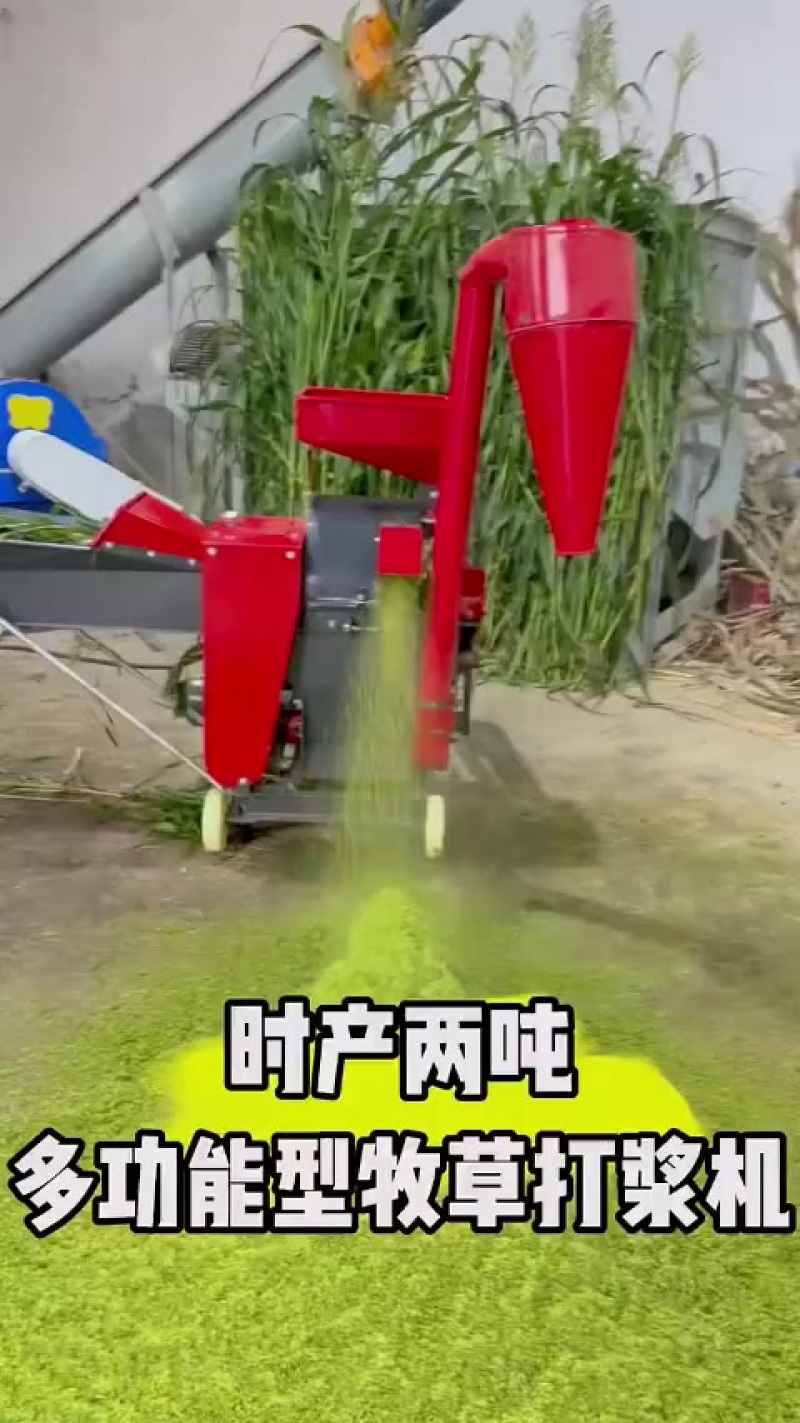 青鲜牧草饲料草浆机鸡鸭鹅饲料