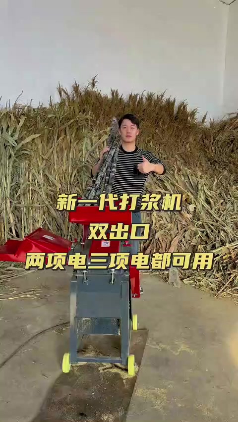 秸秆瓜果养殖饲料草浆机