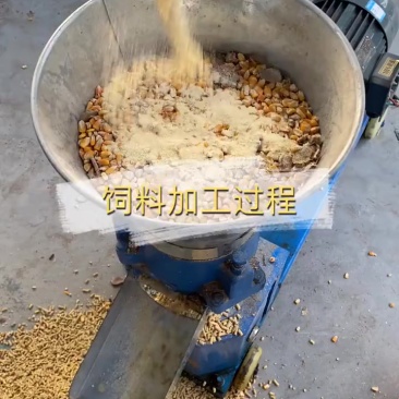 甲鱼饲料颗粒机家用养殖玉米秸秆制粒机