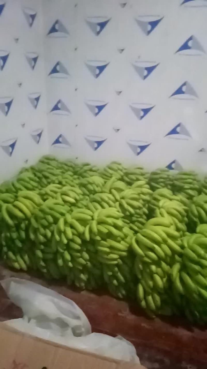 广西矮香蕉八成熟