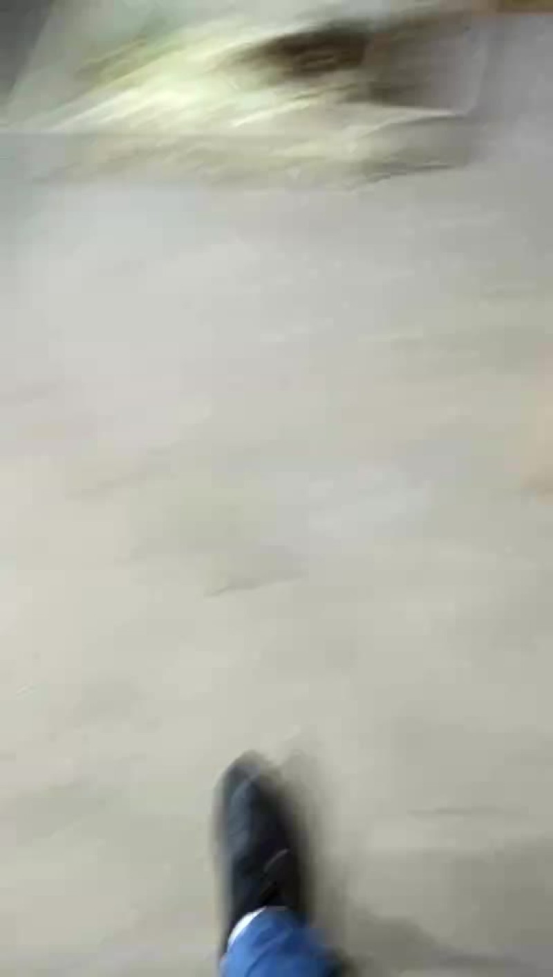 鹌鹑苗统货