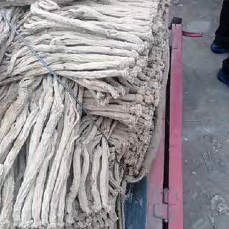 白条党参干货大条