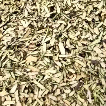 槲寄生槲寄生斜片选货