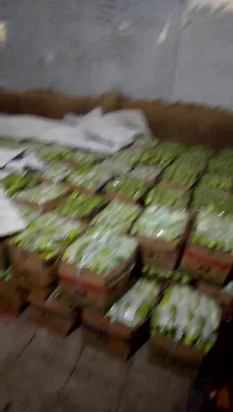 绿皮西葫芦0.8斤以上