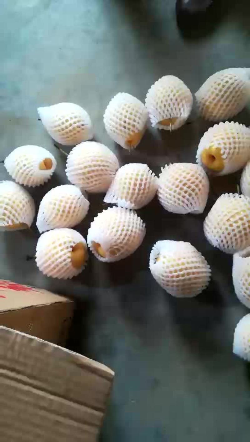蒲城酥梨350~400g纸袋