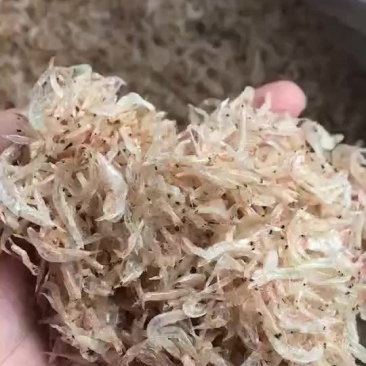 虾皮一级