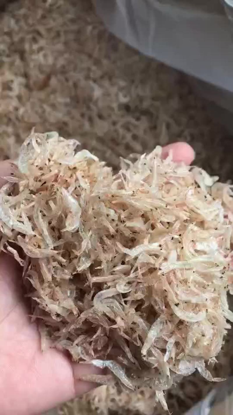 虾皮一级