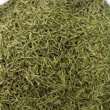小笋干，野生小笋